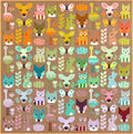 Delightful Desert - Physical Pattern